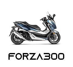 FORZA300