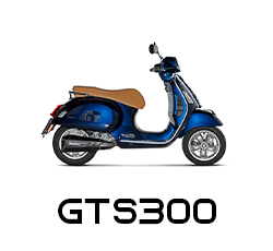 GTS300