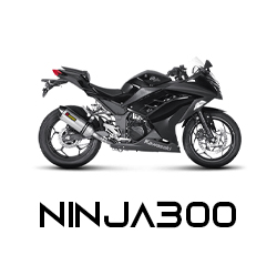 NINJA300