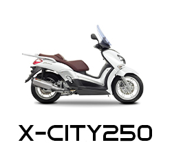 X-CITY250